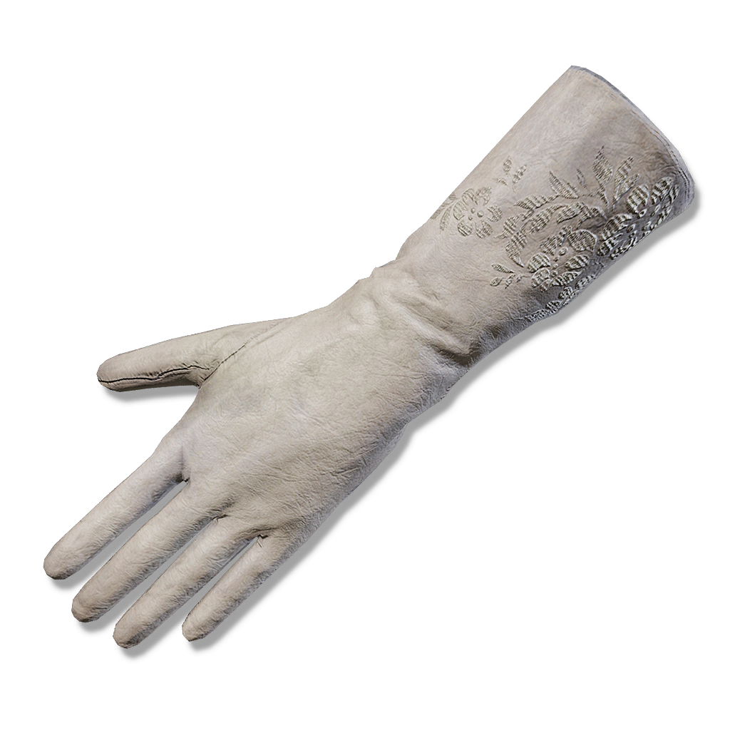 Gants d'astrologue