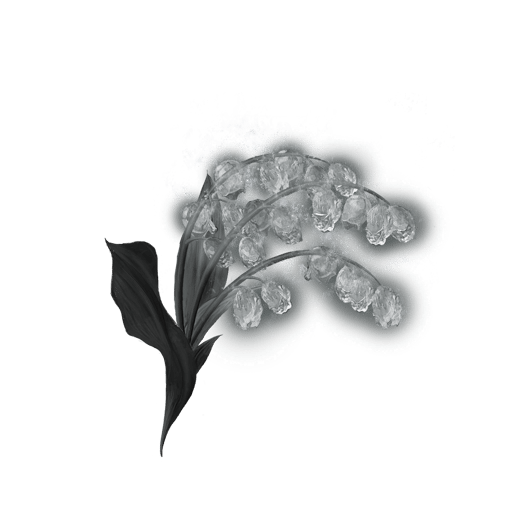 Muguet mortifère (6)