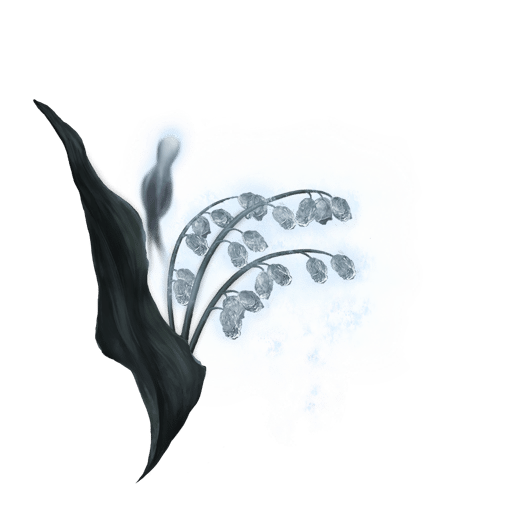 Muguet fantomatique (3)